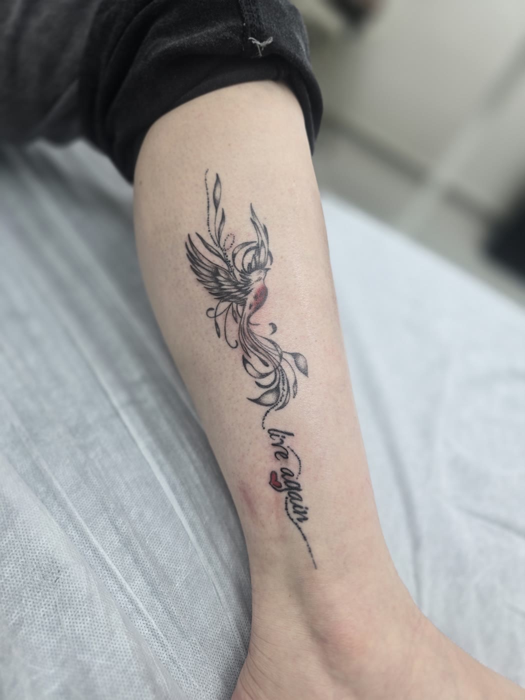 קעקוע עוף חול Live Again